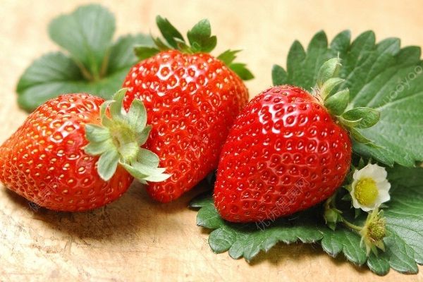 怎么分辨草莓是不是催熟的？催熟的草莓有哪些特征？(3)