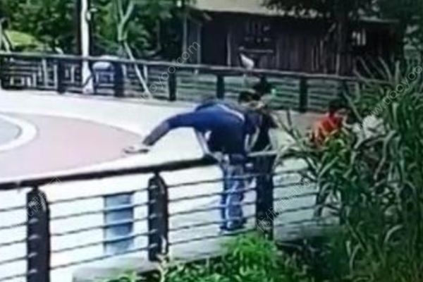 男子逛动物园顺手掏走8颗鸟蛋，涉嫌盗猎被警方行拘(1)