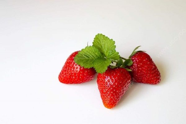 草莓怎样保鲜？草莓的储存方法(1)