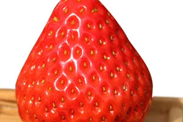 大草莓好吃还是小草莓好吃？如何挑选好吃又好看的草莓？(2)
