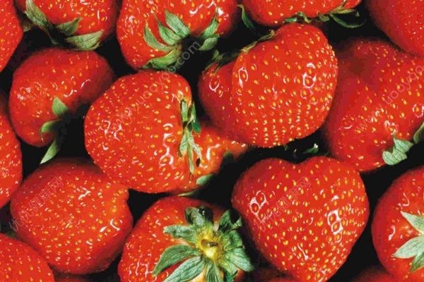 哪种草莓好吃最甜？选购草莓有哪些技巧？(4)