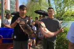 重庆一高校打捞万斤鱼，将做剁椒鱼头等给师生吃[多图]