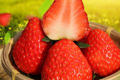 大草莓好吃还是小草莓好吃？如何挑选好吃又好看的草莓？[多图]